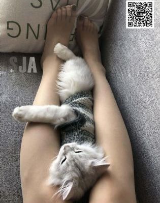 日本年经的继拇3_BD韩语最新电影在线观看