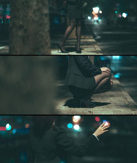 精品梅花剪枝视频教程_蓝光高清视频观看