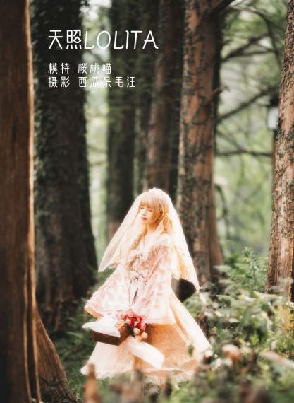 欧美18一区二区_国产剧在线视频观看